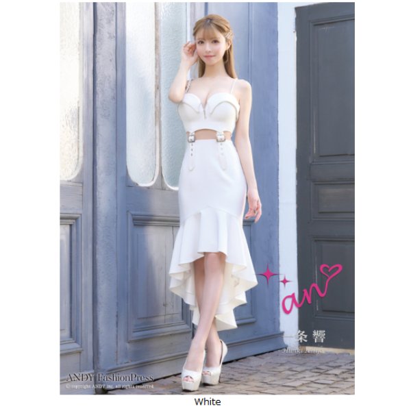 画像1: [an]AOC-3687