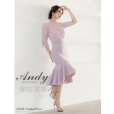 画像1: [Andy]AN-ON2734 (1)