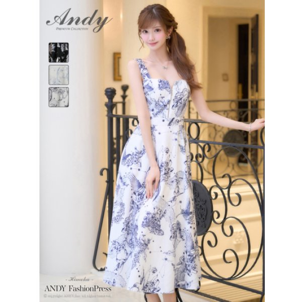 画像1: ロングドレス [Andy]AN-ON3052