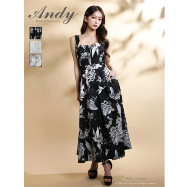 画像3: ロングドレス [Andy]AN-ON3052