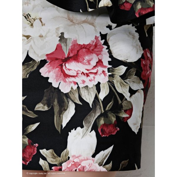 画像7: AN-OK1469 (7)